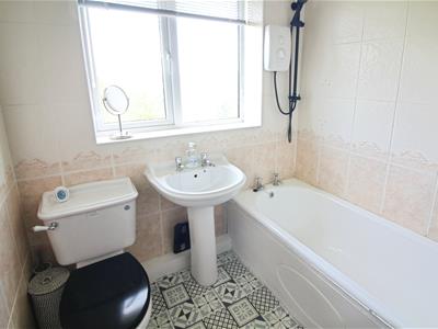Picture 17